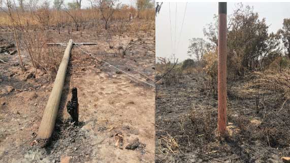 Electricity Company Ghana Limited — case study hero